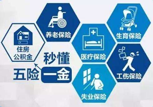 五險有什么用? 第1張 五險有什么用? 第1張