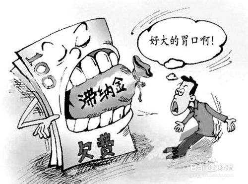 補(bǔ)繳社保滯納金怎么算? 第1張 補(bǔ)繳社保滯納金怎么算? 第1張